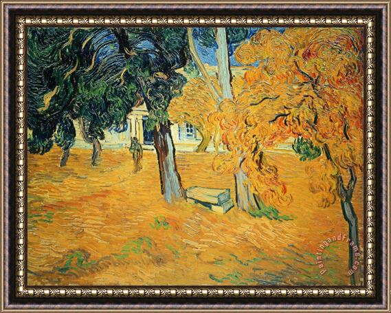 Vincent van Gogh The Park at Saint Pauls Hospital Saint Remy Framed Painting