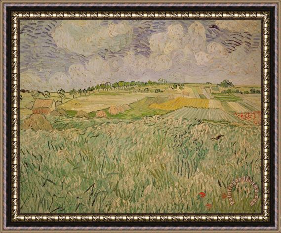 Vincent van Gogh The Plain At Auvers Framed Print