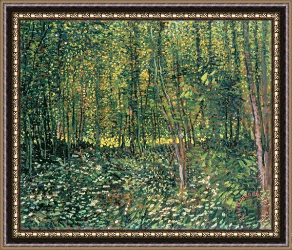 Vincent van Gogh Trees and Undergrowth Framed Print