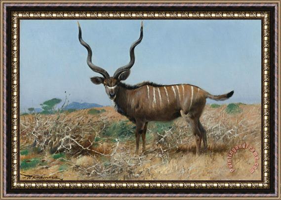 Wilhelm Kuhnert Antelope Framed Print