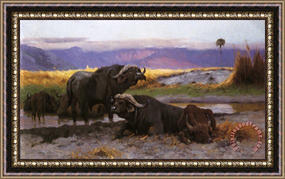 Wilhelm Kuhnert Buffalo Along The Riverbank Framed Painting