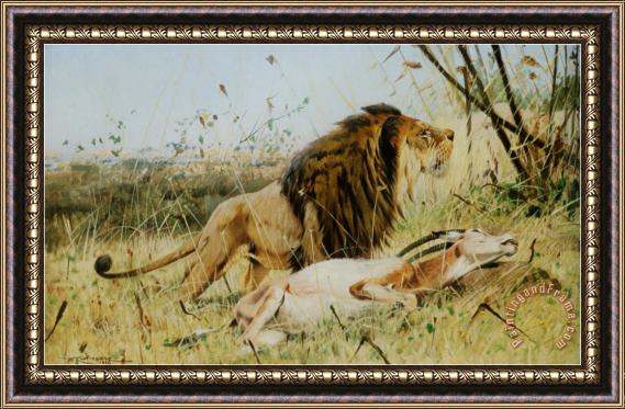 Wilhelm Kuhnert Lion And His Prey Framed Painting