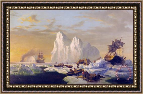 William Bradford Caught in The Ice Floes Framed Print