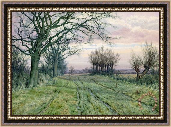 William Fraser Garden A Fenland Lane with Pollarded Willows Framed Painting
