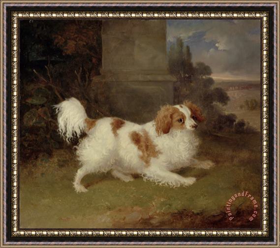 William Webb A Blenheim Spaniel Framed Painting