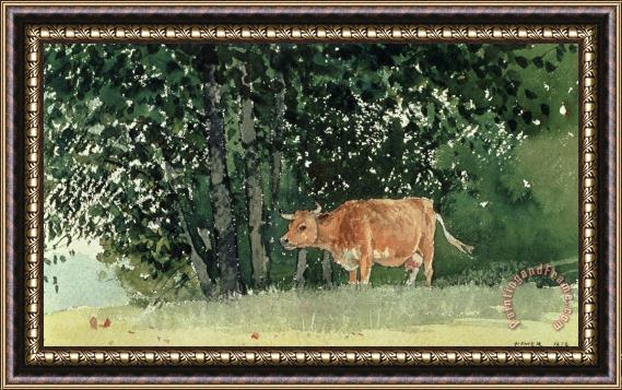 Winslow Homer Cow in Pasture Framed Print