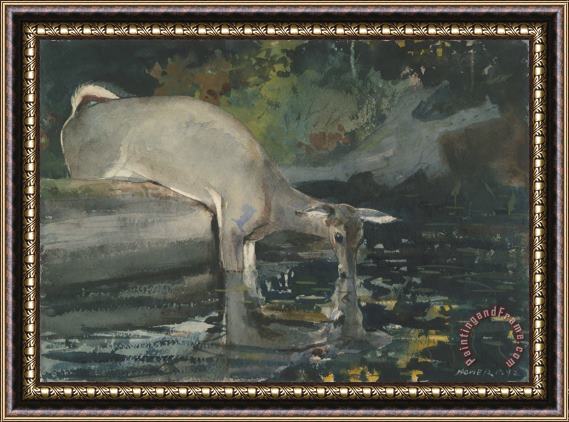Winslow Homer Deer Drinking Framed Print