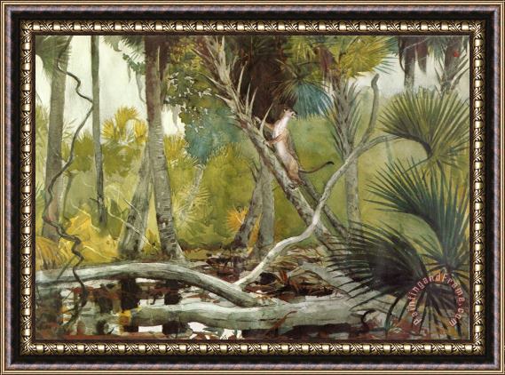 Winslow Homer In The Jungle, Florida Framed Print