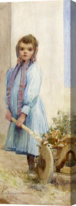 Ada M Shrimpton An Italian Peasant Girl Stretched Canvas Print / Canvas Art