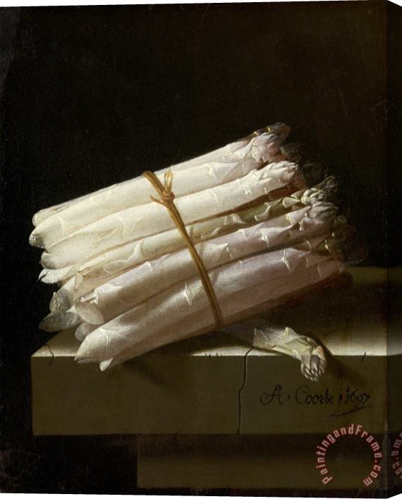 Adriaen Coorte Still Life with Asparagus Stretched Canvas Painting / Canvas Art