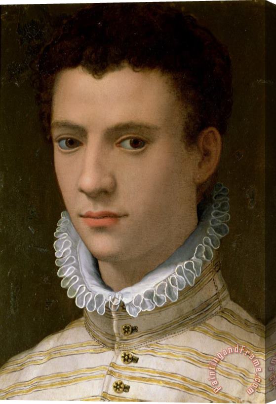 Agnolo Bronzino Portrait of a Young Man Stretched Canvas Painting / Canvas Art