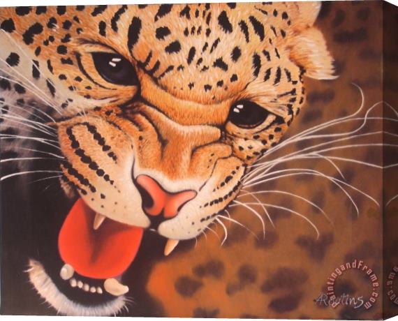 Agris Rautins Baby Leopard Stretched Canvas Print / Canvas Art