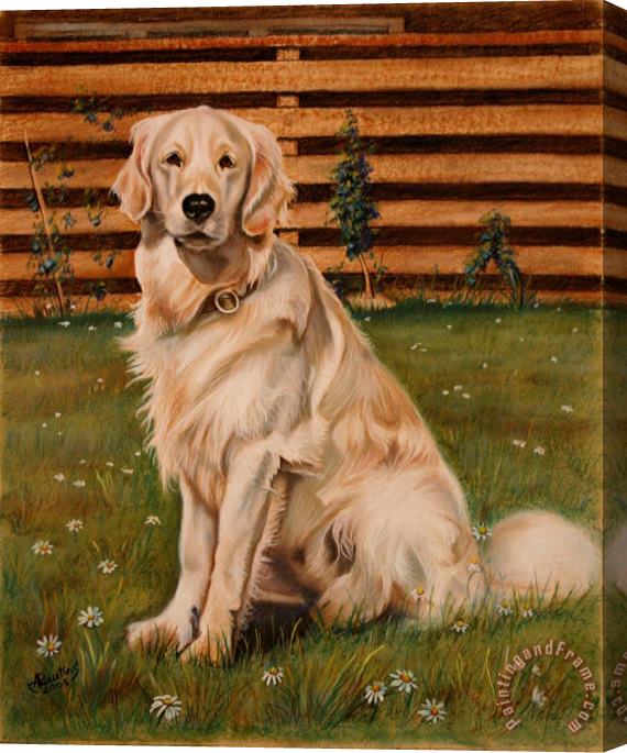 Agris Rautins Drawing of a Golden Retriever Stretched Canvas Painting / Canvas Art