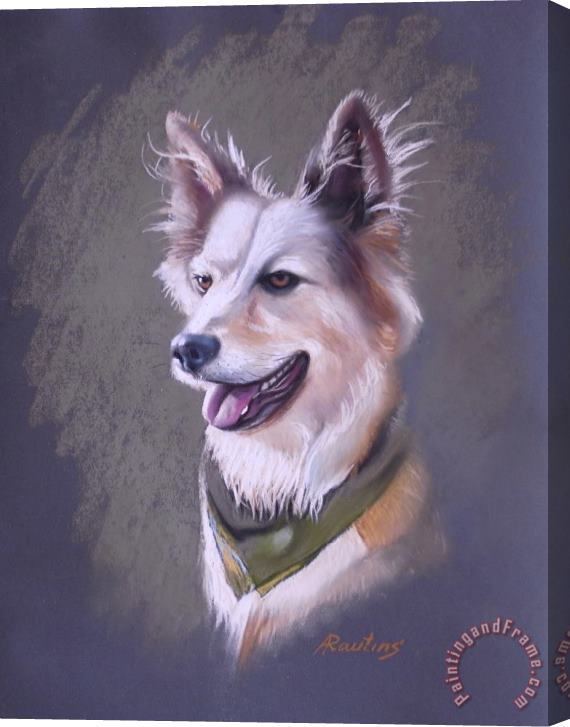 Agris Rautins Portrait of my neighbor's dog Stretched Canvas Painting / Canvas Art