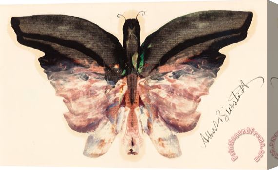 Albert Bierstadt Pink Butterfly Stretched Canvas Print / Canvas Art
