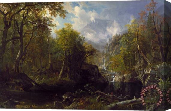 Albert Bierstadt The Emerald Pool Stretched Canvas Painting / Canvas Art