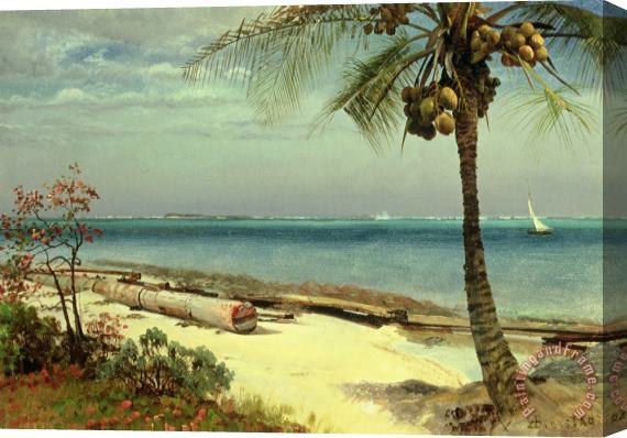 Albert Bierstadt Tropical Coast Stretched Canvas Painting / Canvas Art