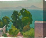 Buy Stretched Canvas Print