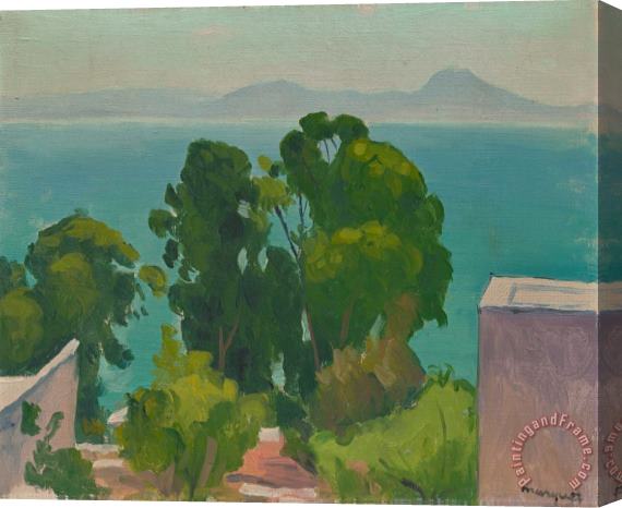 Albert Marquet Les Eucalyptus, 1923 Stretched Canvas Print / Canvas Art