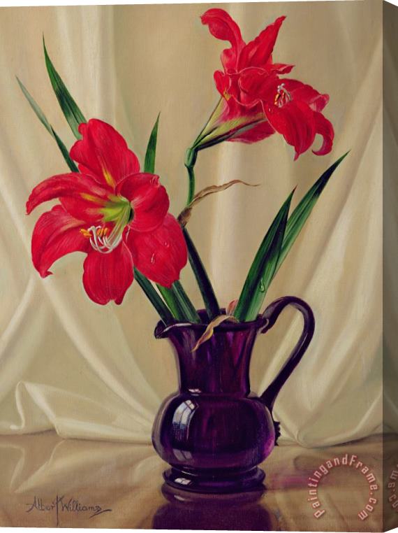 Albert Williams Amaryllis Lillies in a Dark Glass Jug Stretched Canvas Print / Canvas Art