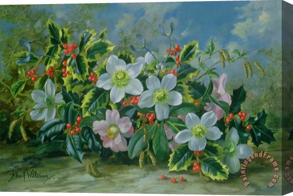 Albert Williams Christmas Roses And Holly Stretched Canvas Print / Canvas Art