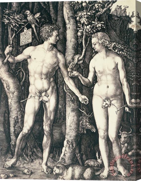 Albrecht Durer Adam And Eve 2 Stretched Canvas Painting / Canvas Art