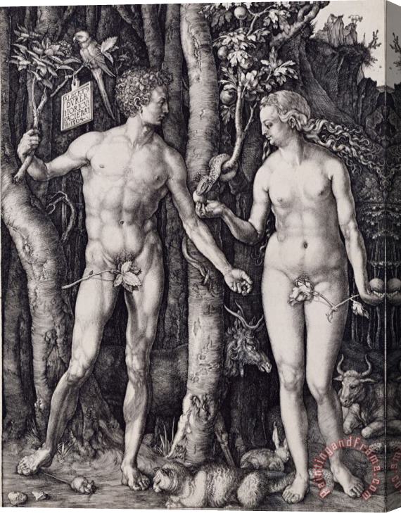Albrecht Durer Adam And Eve Engraving Stretched Canvas Print / Canvas Art