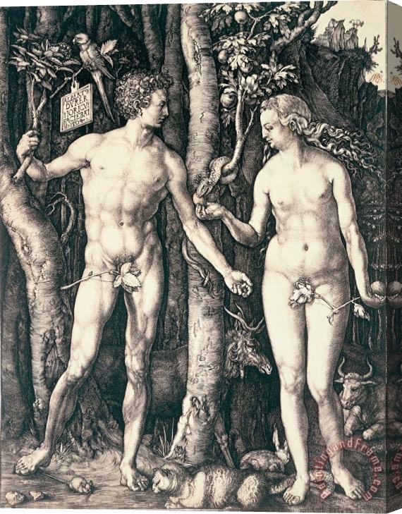 Albrecht Durer Adam and Eve Stretched Canvas Print / Canvas Art