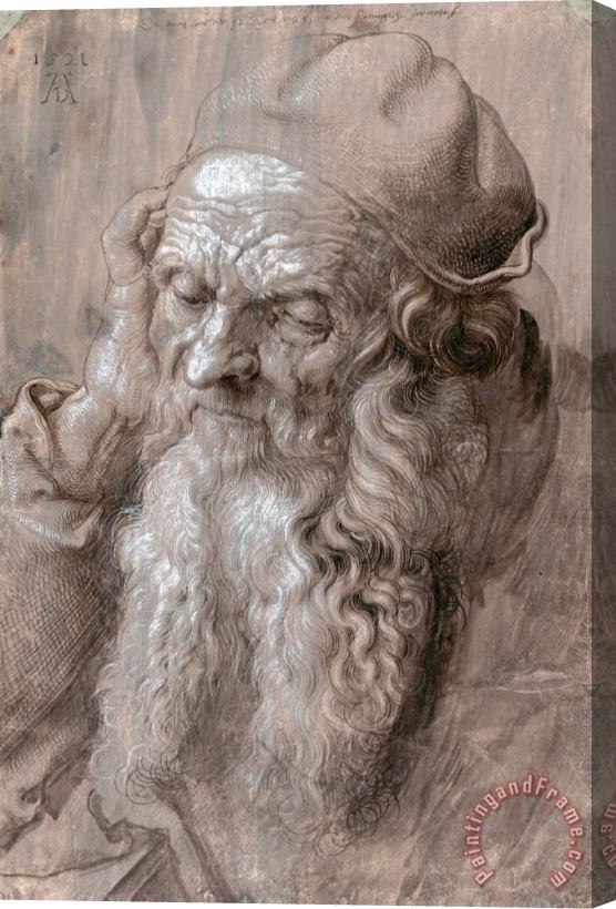 Albrecht Durer Head of an Old Man, 1521 Stretched Canvas Print / Canvas Art