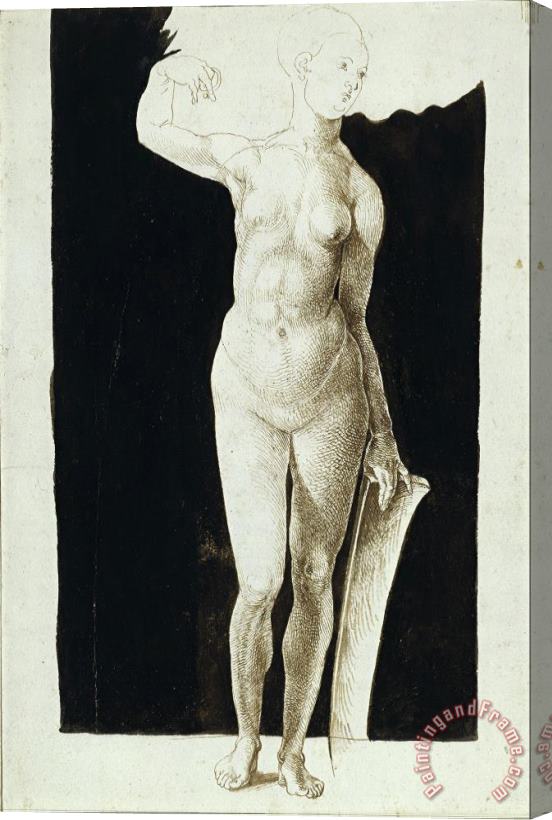 Albrecht Durer Proportion Study of Female Nude with a Shield Stretched Canvas Painting / Canvas Art
