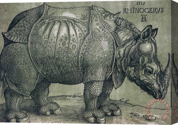 Albrecht Durer The Rhinoceros Stretched Canvas Print / Canvas Art
