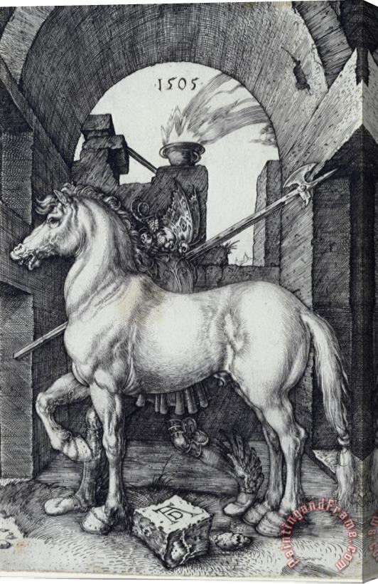 Albrecht Durer The Small Horse Stretched Canvas Painting / Canvas Art
