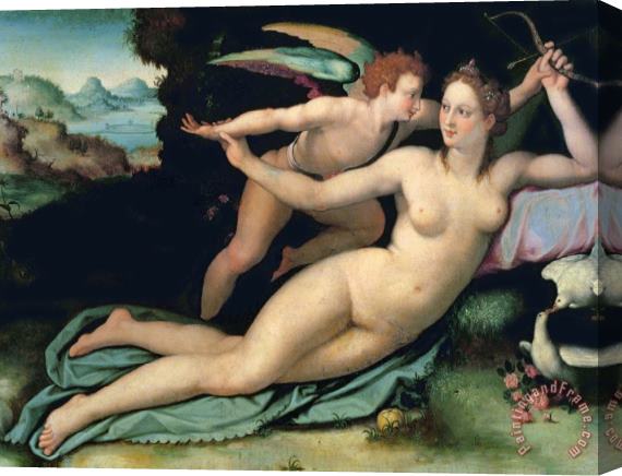 Alessandro Allori Venus and Cupid Stretched Canvas Print / Canvas Art