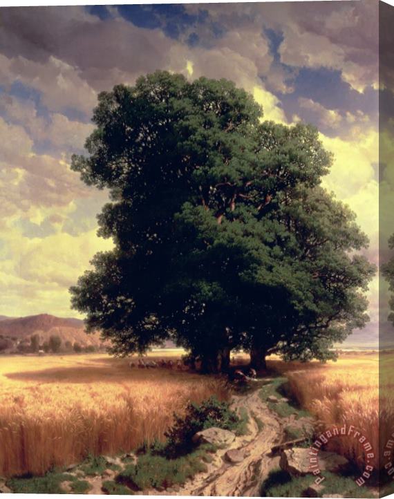 Alexandre Calame Landscape With Oaks Stretched Canvas Painting / Canvas Art