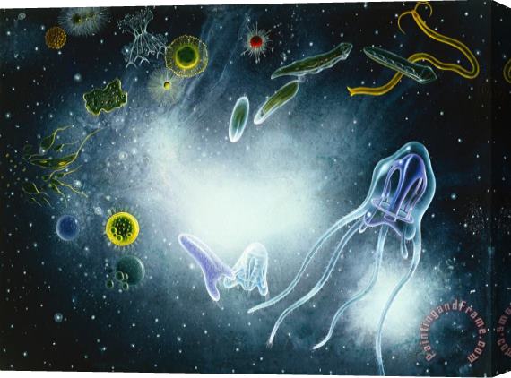 Alexis Rockman Biosphere: Microorganism And Invertebrates Stretched Canvas Print / Canvas Art