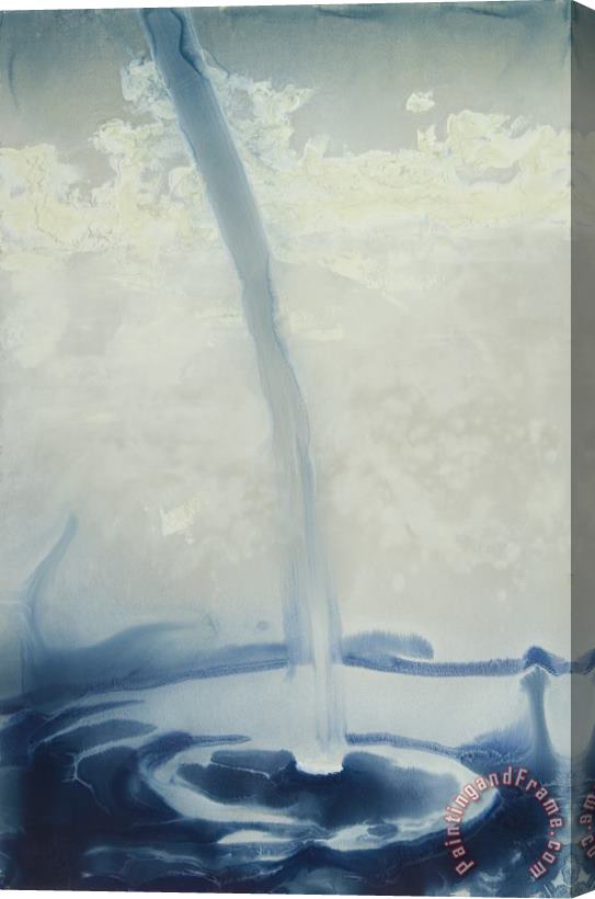 Alexis Rockman Sargasso Sea Stretched Canvas Print / Canvas Art