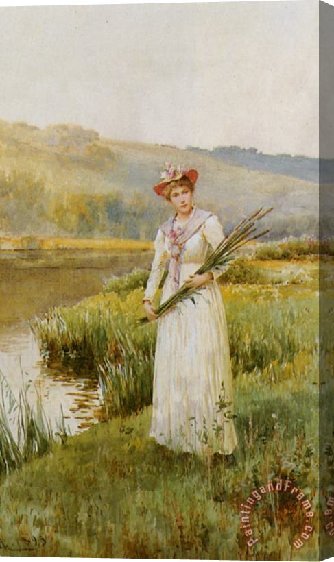 Alfred Glendening Across The Meadow Stretched Canvas Painting / Canvas Art