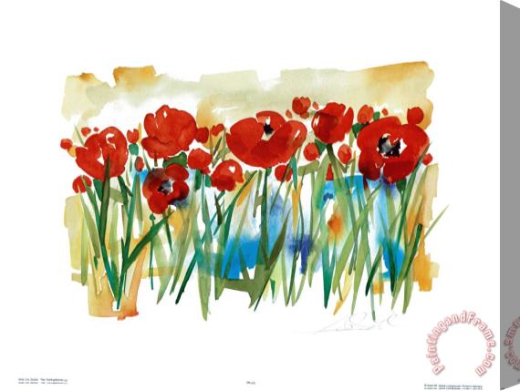 alfred gockel Field of Poppies Stretched Canvas Print / Canvas Art