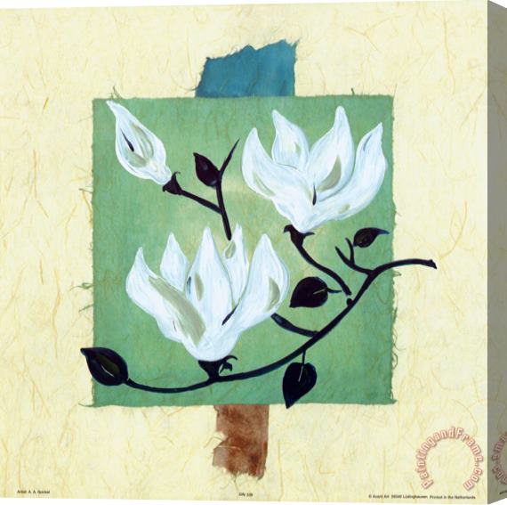 alfred gockel Magnolias on Greenbeige Papyrus Stretched Canvas Painting / Canvas Art