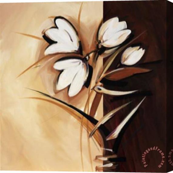 alfred gockel Split Flowers Freesia Stretched Canvas Painting / Canvas Art