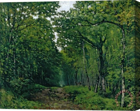 Alfred Sisley The Avenue of Chestnut Trees Stretched Canvas Print / Canvas Art