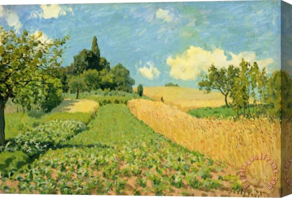 Alfred Sisley The Cornfield (near Argenteuil) Stretched Canvas Painting / Canvas Art