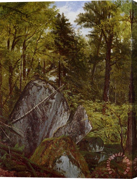 Alfred Thompson Bricher Forest Interior Stretched Canvas Print / Canvas Art