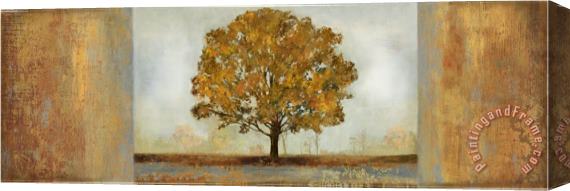 Allison Pearce Elusive Treescape I Stretched Canvas Painting / Canvas Art