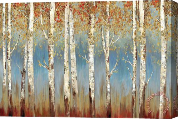 Allison Pearce Falling Embers Stretched Canvas Painting / Canvas Art