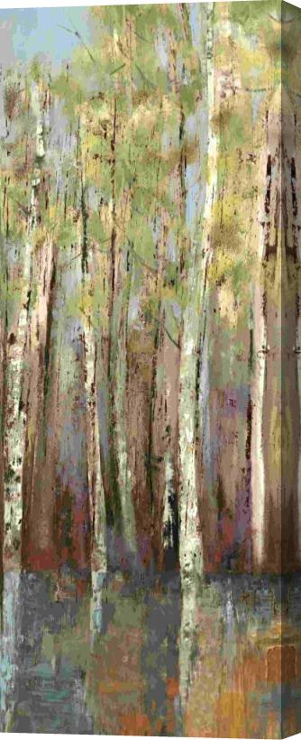 Allison Pearce Forest Whisper II Stretched Canvas Painting / Canvas Art
