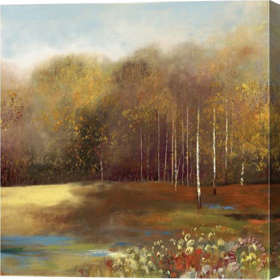 Allison Pearce Garden Dreams II Mini Stretched Canvas Painting / Canvas Art