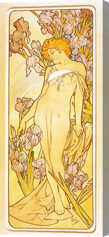 Alphonse Marie Mucha Iris 1 Stretched Canvas Print / Canvas Art