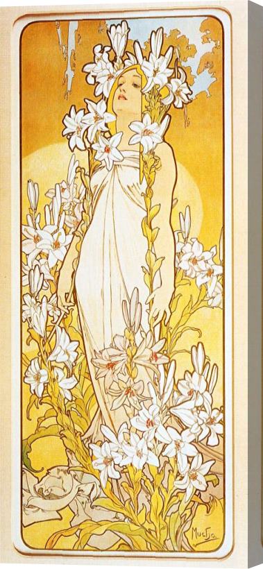 Alphonse Marie Mucha Lily Stretched Canvas Painting / Canvas Art