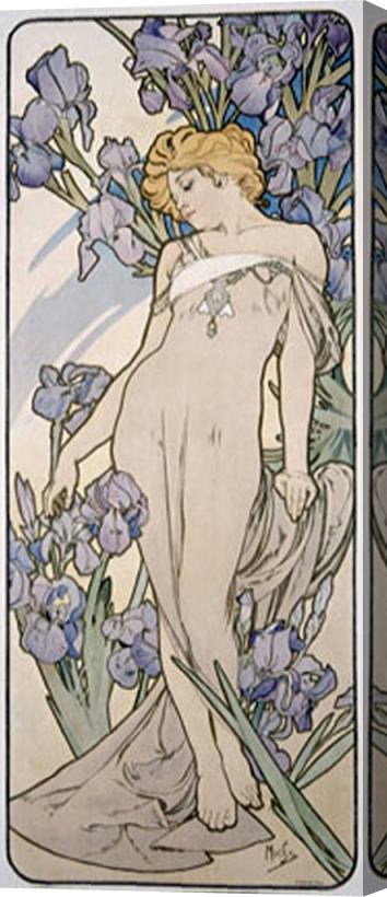 Alphonse Marie Mucha Mucha Nouveau Iris Flower Poster Stretched Canvas Print / Canvas Art